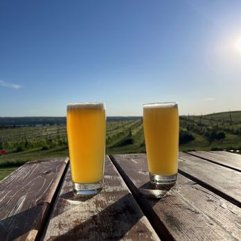 Aurora Brewing - two glasses of beer on a wooden table - Breweries Near Me - King Ferry, New York