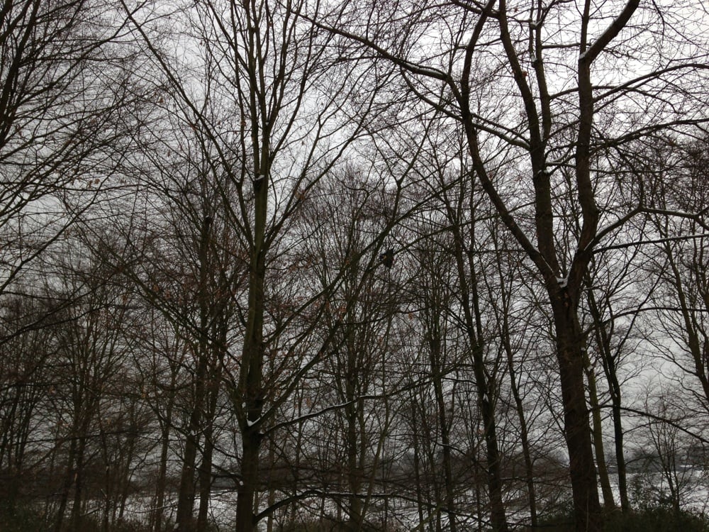 Freizeitpark Rheinaue - Bonn