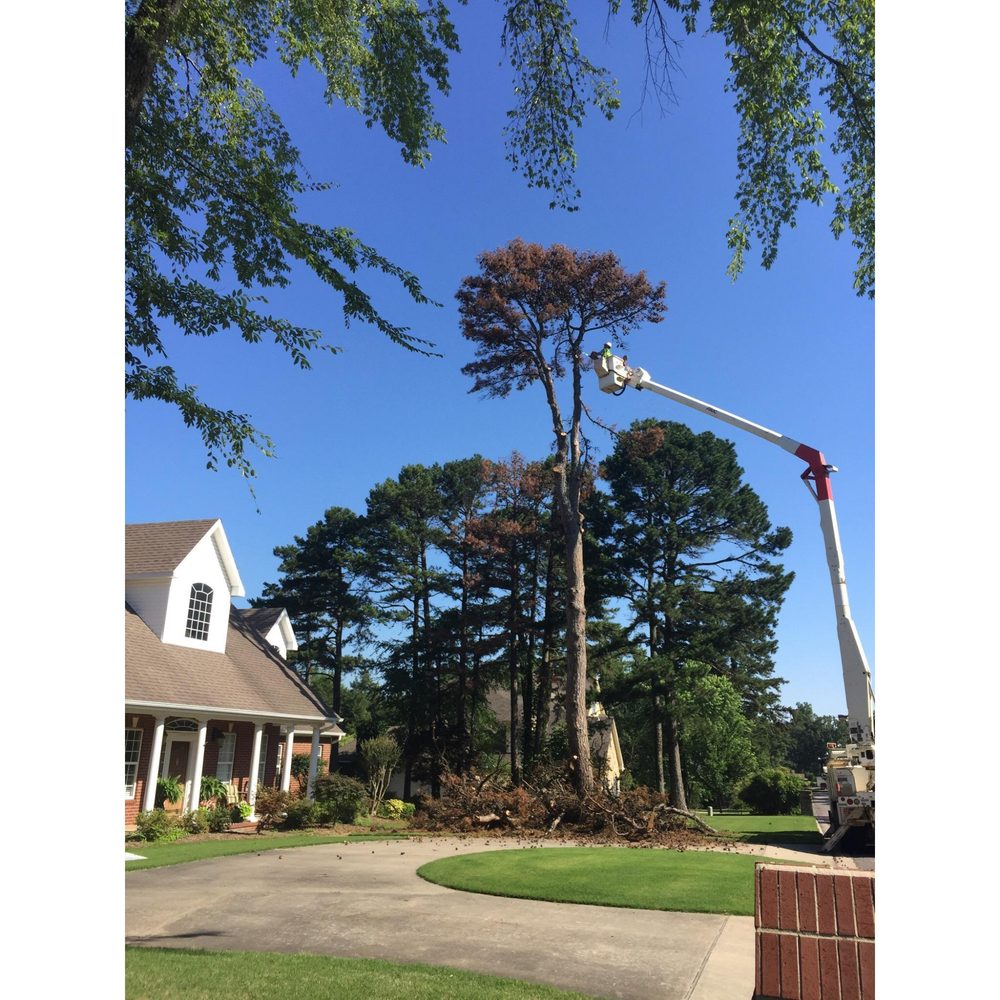 DUNLAP TREE & LAND SERVICES Updated September 2024 11 Photos