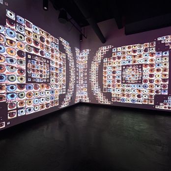 WNDR Museum - Art Museums Near Me - Boston, Massachusetts