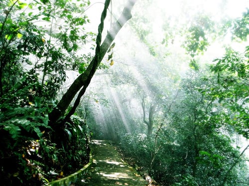 Kadoorie Farm and Botanic Garden by null