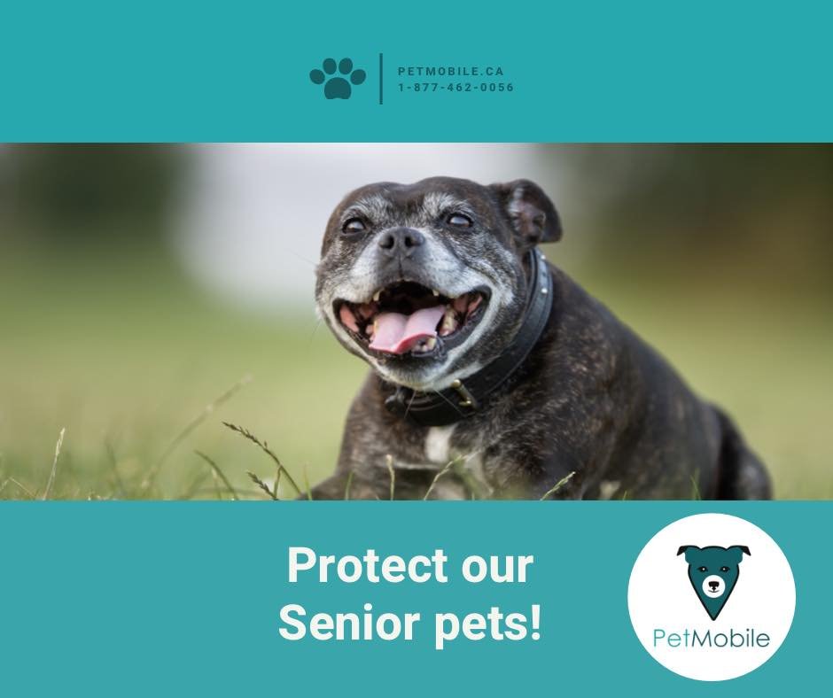 PETMOBILE Updated September 2024 Request Information 2852