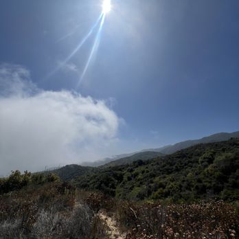 Los Leones Canyon - Hiking Near Me - Pacific Palisades, California Los Leones Canyon - Hiking Near Me - Pacific Palisades, California