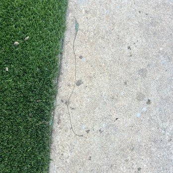 Novaturf Artificial Grass - Artificial Turf Near Me - Miami, Florida Novaturf Artificial Grass - Artificial Turf Near Me - Miami, Florida