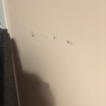 Quirk Richmond - Scuff on the bedroom wall - Hotels Near Me - Richmond, Virginia Quirk Richmond - Scuff on the bedroom wall - Hotels Near Me - Richmond, Virginia