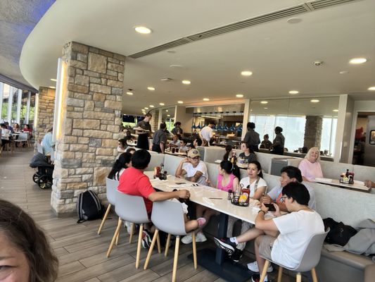 Top of the Falls by null