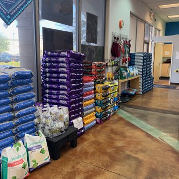 Bogart's Bone Appetit - inside - Pet Groomers Near Me - Las Vegas, Nevada
