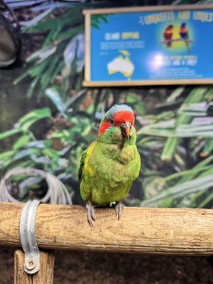 LA County Fair by null