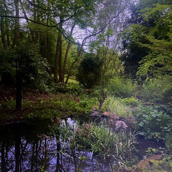 Durham University Botanic Garden - On most days you can see ducks here. - Parks Near Me - Durham, DUR