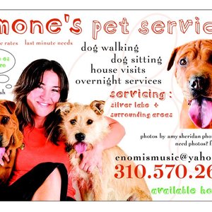 dog walking companies near me