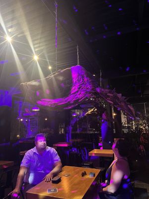 Dalton Gin Bar by null