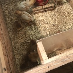Simon's Farm & Home Center