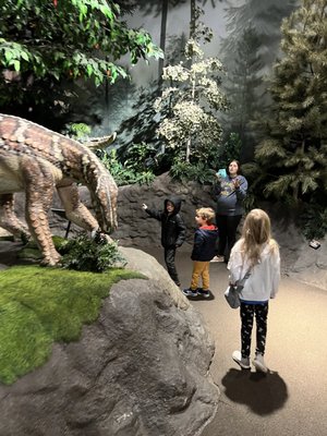 Creation Museum by null