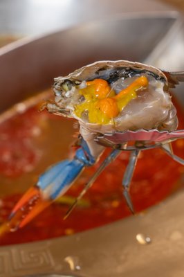 LaoJie Hotpot Manhattan | 老街火锅 | 曼哈顿火锅 by null