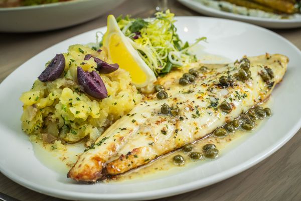 The Dalmar, Fort Lauderdale, a Tribute Portfolio Hotel by null