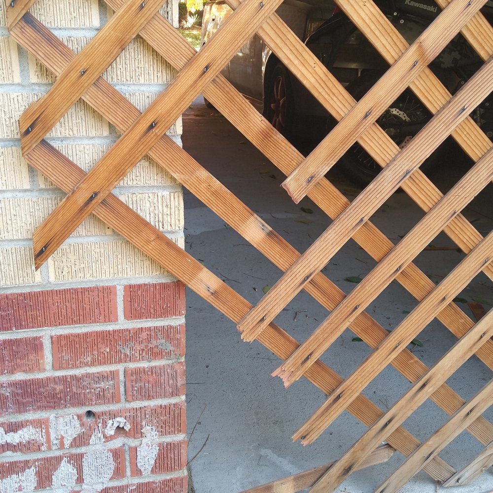 Colorado Premier Tree Care - Didn't even bother to clean up what they destroyed - Tree Services Near Me Colorado Premier Tree Care - Didn't even bother to clean up what they destroyed - Tree Services Near Me
