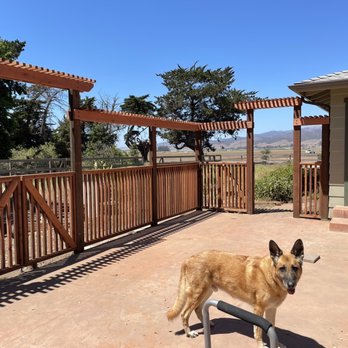 Cypress Coast Fence - Wider angle of patio - Fences & Gates Near Me - Watsonville, California Cypress Coast Fence - Wider angle of patio - Fences & Gates Near Me - Watsonville, California