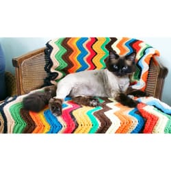 Purrfect Fur Cat Grooming - After