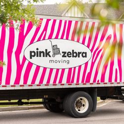 Pink Zebra - Farmington