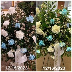 Alice's Flowers - THE BUSINESS "CORRECTION" OF WILTED AND COLORED CARNATIONS.