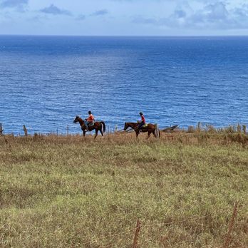 Circle M Ranch - Horseback Riding Near Me - Wailuku, Hawaii Circle M Ranch - Horseback Riding Near Me - Wailuku, Hawaii