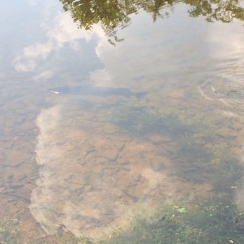 Nockamixon State Park - A large pike - Boating Near Me - Quakertown, Pennsylvania Nockamixon State Park - A large pike - Boating Near Me - Quakertown, Pennsylvania