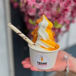Taiyaki Ice Cream& Froyo