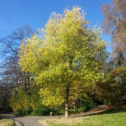 Parc Josaphat