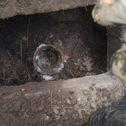 Just-in Time Septic Pumping Services