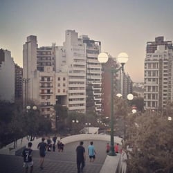 Paseo del Coniferal