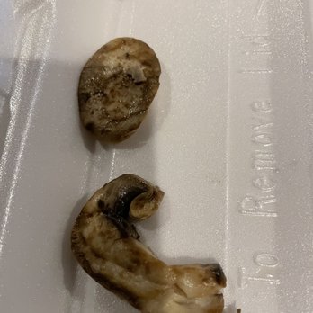 Brandy's Gyros - Moldy mushrooms that were on that Italian beef sandwich - Greek Near Me - Hanover Park, Illinois Brandy's Gyros - Moldy mushrooms that were on that Italian beef sandwich - Greek Near Me - Hanover Park, Illinois
