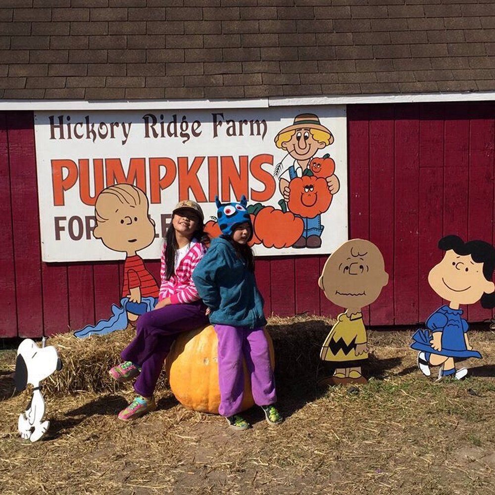 Hickory Ridge Farm - Farmers Market Near Me - Chesapeake, Virginia