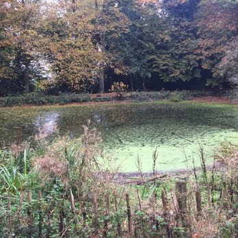 Clent Hills - Campgrounds Near Me - Romsley, WOR
