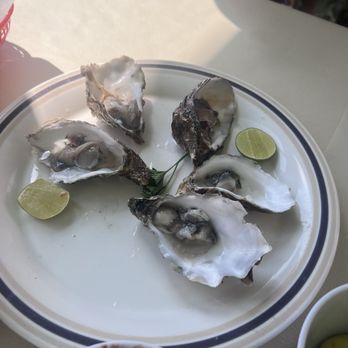 Miramar - 2nd round of fresh oysters - Seafood Near Me - Puerto Nuevo, BCN