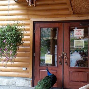 Taggart’s Grill - Even the resident peacocks want to come inside ;) - Burgers Near Me - Morgan, Utah Taggart’s Grill - Even the resident peacocks want to come inside ;) - Burgers Near Me - Morgan, Utah