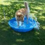 Photo of K-9 Camp & Boarding Retreat
