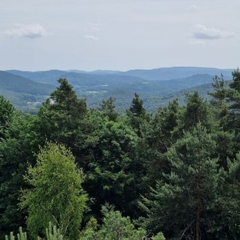 Hühnerstein - Ausblick - Landmarks & Historical Buildings Near Me - Hauenstein, RP