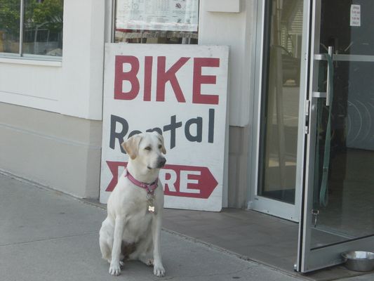 Atlantic Cycles by null