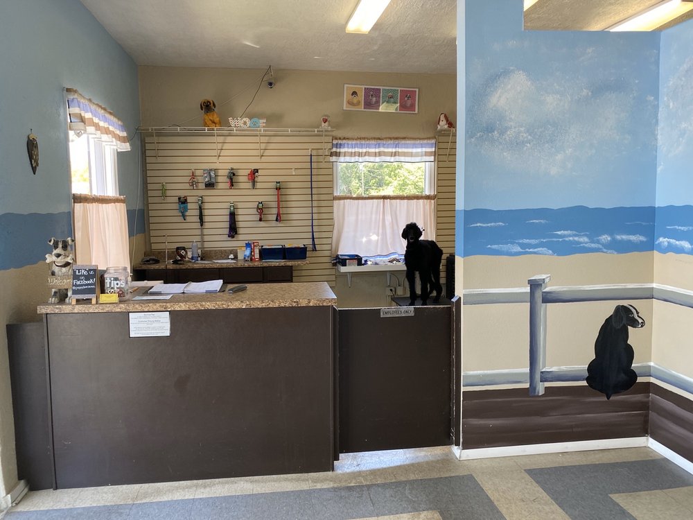 PUPPY LOVE PET SALON Updated April 2024 12 Reviews 140 S Bluford