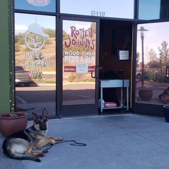 Clover Canine - He's waiting for dad to ordering pizza. - Pet Training Near Me - Phoenix, Arizona