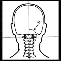 Big Idea Family Chiropractic