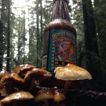 Lost Coast Brewery and Cafe - Enjoying a great white at founders grove on a beautiful and serene rainy day 15 Feb 2014 :) - Pubs Near Me - Eureka, California