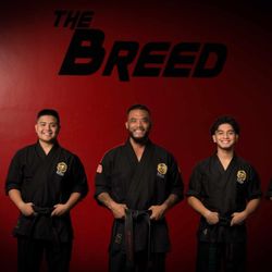 Pallen's Martial Arts Tri Valley
