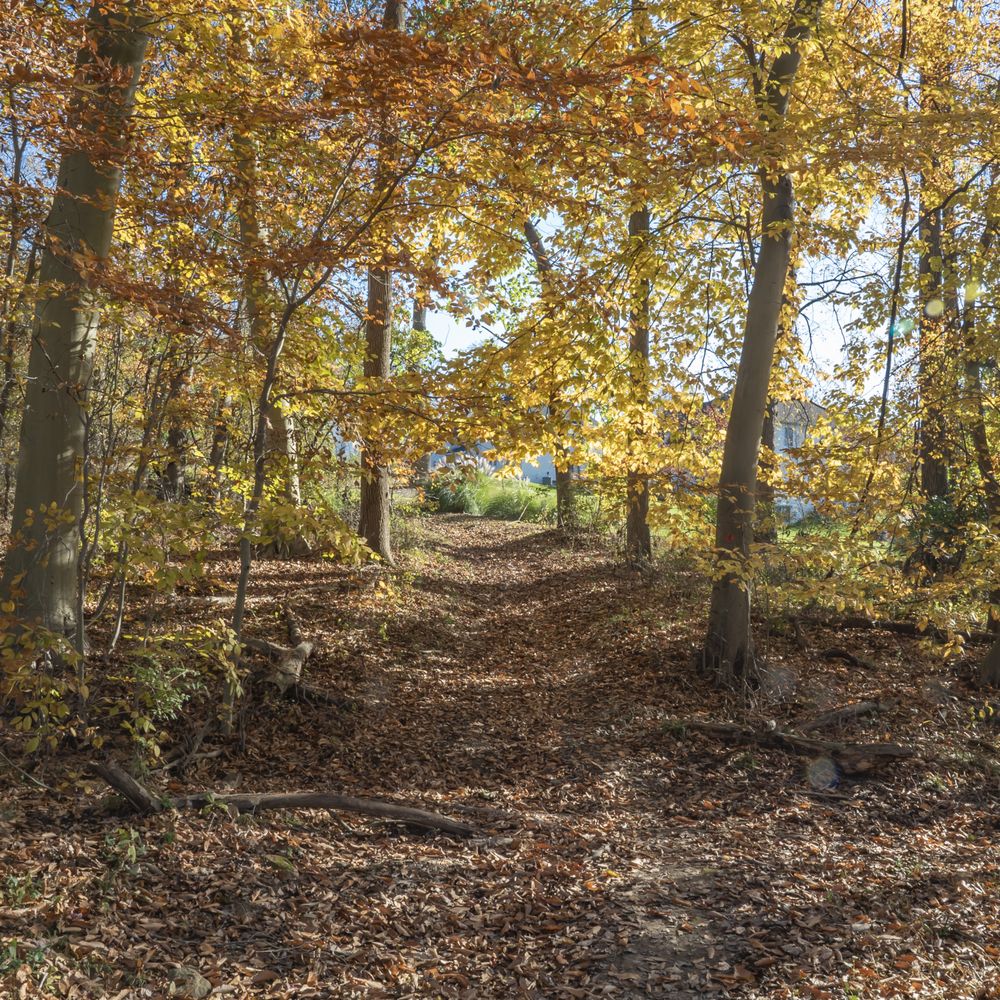 Cornucopia Trail - Hiking Near Me