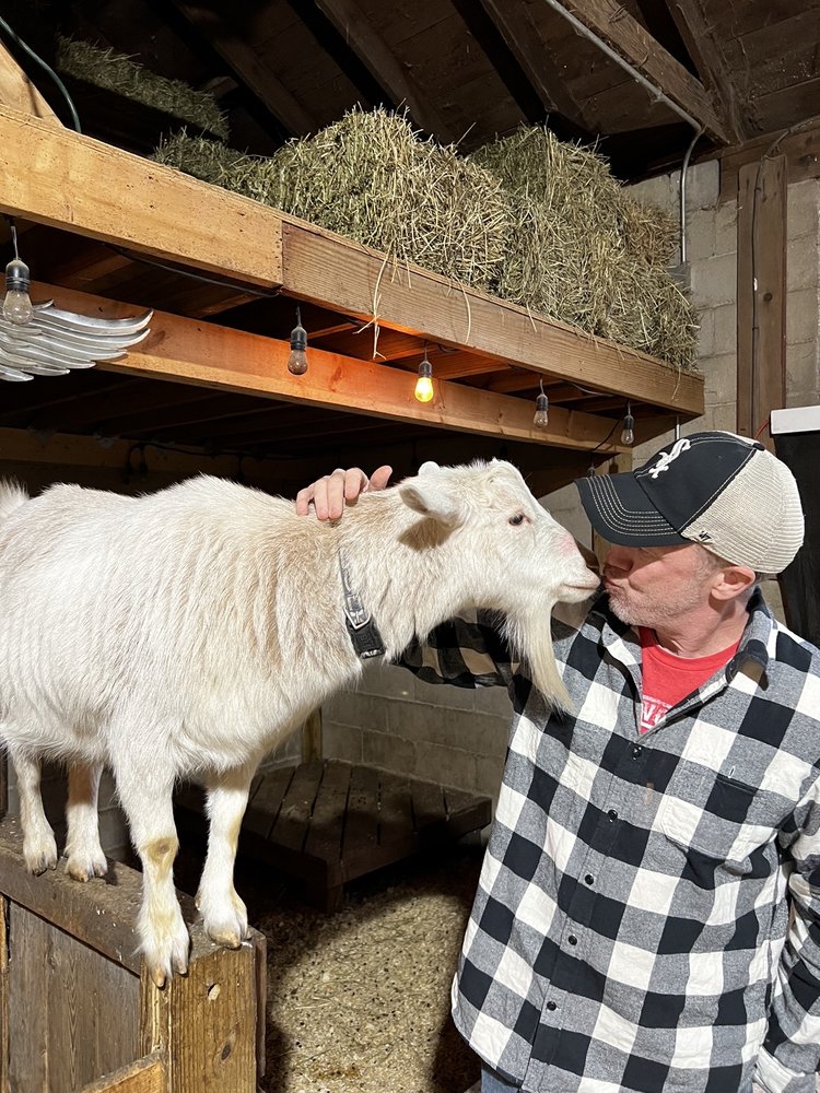 Blue Sky Farm Goat Yoga Logo
