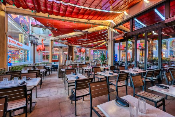 Chayo Mexican Kitchen + Tequila Bar by null