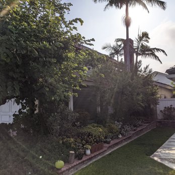 Specialty Siding - Siding View through the Jungle - Windows Installation Near Me - Anaheim, California