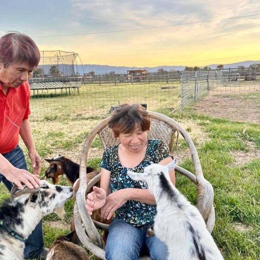 Back-to-Eden Ranch - Goats - Attraction Farms Near Me - Gilroy, California Back-to-Eden Ranch - Goats - Attraction Farms Near Me - Gilroy, California