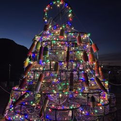 Morro Bay T Pier Sea Otter Viewing Area - Christmas tree on Morro Bay T Pier 2025 - made with crab pots (traps) and bouys