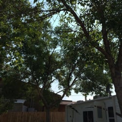 Camper Corner - Lots of nice shade!